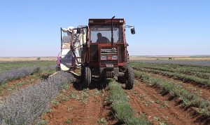 Başkan Altay: “Şehrimizin Kalkınmasına Katkı Sağlayan Çiftçimizin Yanında Olmaya Devam Edeceğiz”