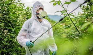 Tarım Zehirlerinde Alarm: Yasaklı Maddelerin Kullanımı Devam Ediyor