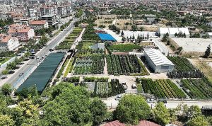 Başkan Altay Konya Ağaç A.Ş Satış Merkezi’nde İncelemelerde Bulundu