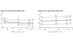 TÜİK: İşgücü İstatistikleri, II. Çeyrek: Nisan – Haziran, 2023