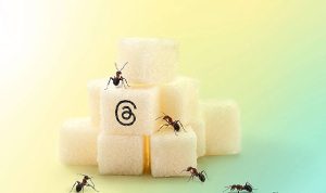 Threads’in Keyfini Çıkarırken Yüksek Düzeyde Gizlilik ve Güvenlik Sağlayın