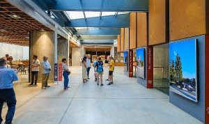 Halil Altındere’nin ‘Troya Video Üçlemesi’ Sergisi Ziyaretçilere Açıldı