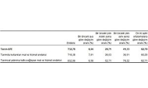 Tarımsal girdi fiyat endeksi (Tarım-GFE) yıllık yüzde 41,33, aylık yüzde 6,94 arttı