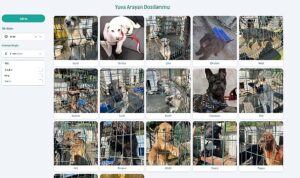 Beylikdüzü Belediyesi, toplumda öncülük etmek ve farkındalık oluşturmak için ilçe sınırları içinde yaşayan sahipsiz sokak hayvanlarını sahiplendirmek için çalışmaları online ortama taşıdı