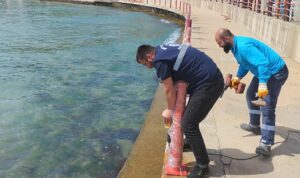 Kocaelilileri bu yaz pırıl pırıl sahiller bekliyor