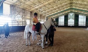 Kartepe Belediyespor Kulübü’nün en aktif gruplarından İzci Grubu, doğayla iç içe bir hafta sonu geçirdiler