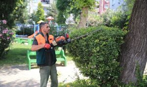 Başkan Mutlu tespit etti, ekipler sahaya indi