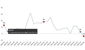 Tüik: Ticaret satış hacmi yıllık %3,8 azaldı, perakende satış hacmi yıllık %5,8 arttı
