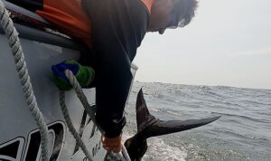 Yeni Sezonuyla ‘Korkusuz Balıkçılar’ 18 Temmuz Perşembe 20.00’de National Geographic Ekranlarında İzleyicilerle Buluşuyor!