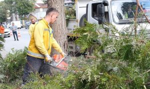 Aydın Büyükşehir Belediyesi, Söke’de gerçekleştirdiği çalışmalarla ilçeyi daha modern ve yaşanabilir hale getirmeye devam ediyor