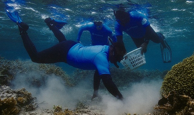Samsung’un Galaxy teknolojisiyle mercan resifleri koruma altında!