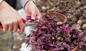 Bilinçli Tarımsal Üretim İçin Eğitim Zamanı