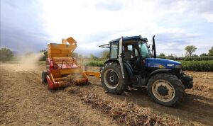 İnegöl Belediyesi’nden Cerrah Kuru Fasulyesine Dev Katkı