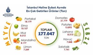 İstanbul’da şubat ayında portakal ve domates zirvede 