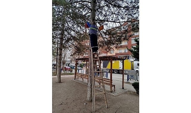 Kuşlara Yeni Yuvalar