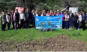 Yarımada Kadınları Sakız Ağacına Can Katıyor