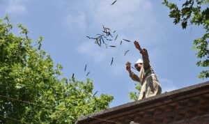Festival’in Renkleri Fotoğraf Karelerinde Hayat Bulacak