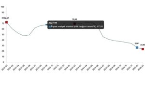 İnşaat Maliyet Endeksi, Şubat 2025