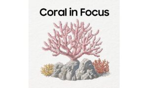 Samsung Galaxy teknolojisiyle 25 basketbol sahası büyüklüğündeki mercan resifi habitatı restore edildi