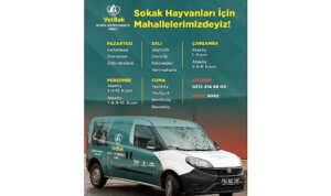 “Vetbak” patili dostların yanında olmaya devam ediyor