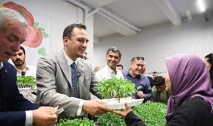 400 bin yazlık fide üreticiyle buluşuyor