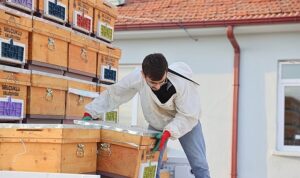 Arılı Kovan Desteği Projesi’nin 3. Yılında Üreticilere Arı ve Kovanları Dağıtıldı