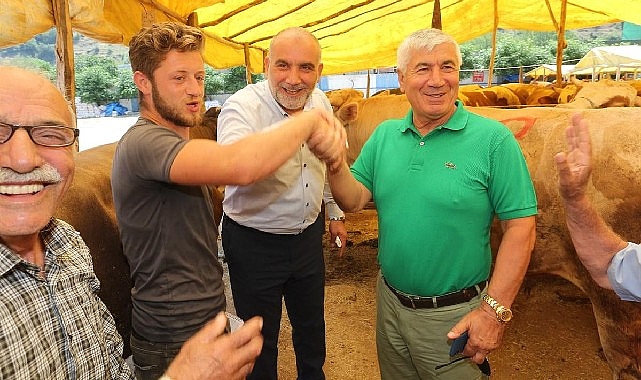 Canik’te Kurbanlıklar Görücüye Çıktı