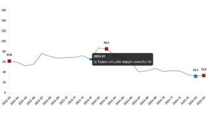 Ciro Endeksleri, Mart 2025