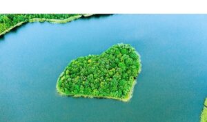 ING’nin iklim hedefleri, Bilimsel Tabanlı Hedefler Girişimi (SBTi) tarafından doğrulandı