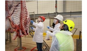 Kurban kesim başvuruları 15 Mayıs’ta başlıyor