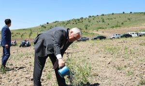 Nilüfer Belediyesi Konaklı’ya 800 zeytin fidanı dikti
