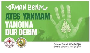 OGM’den kritik uyarı: Sıcaklık Artışı Orman Yangınlarını Tetikleyebilir