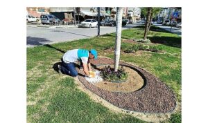 Yeşil Alanlara Estetik Dokunuş
