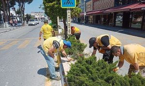 Başkan Çerçioğlu’nun Hizmetleri Kuşadası’nı Doğanın Yeşil Tonları ile Buluşturuyor