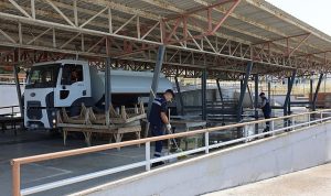 Bayraklı Kurban Bayramı’na hazır