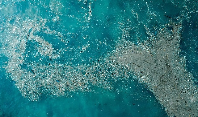 Doğayla Uyumlu Yaşamalıyız: Plastik Kirliliğine Son Ver, Yaşamı Koru!