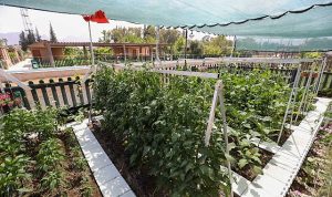 En Güzel Tasarım ve Uygulama Yarışması’nda ödüller sahiplerini buldu