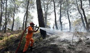 Hasat Mevsiminde Orman Yangını Alarmı