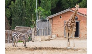 İzmir Doğal Yaşam Parkı bayramda  ziyaretçileri bekliyor