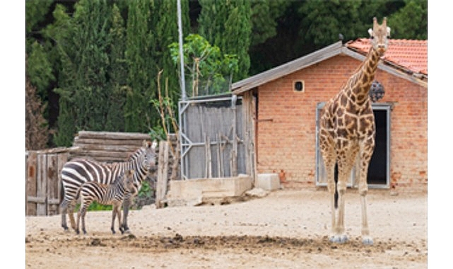 İzmir Doğal Yaşam Parkı bayramda ziyaretçileri bekliyor