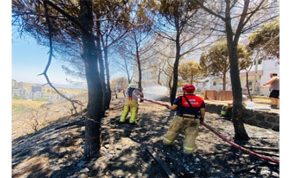 İzmir İtfaiyesi 48 saatte 227 yangına müdahale etti