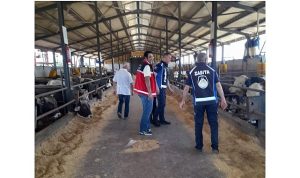 Kartepe’de Kurban Kesim Yerleri Denetleniyor