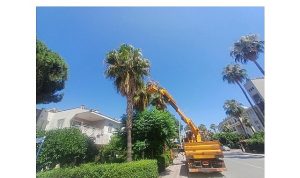 Kemer’de yeşil alanlarda bakım çalışmaları