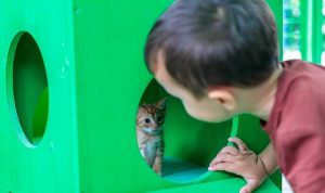 Konak’ta can dostlara özel şenlik: Yeni yuvalarına kavuştular