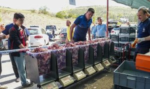 Kurban Kesim Alanlarında Hummalı Temizlik Çalışması