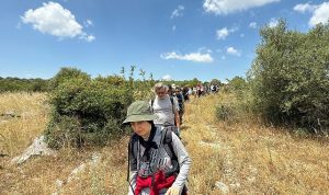 Mysia Yolları’nda Leylek Şenliğine özel yürüyüş
