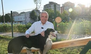 Nilüfer’de can dostlar yeni yuvalarına kavuştu