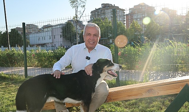 Nilüfer’de can dostlar yeni yuvalarına kavuştu