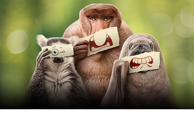 Ryan Reynolds’ın Anlatımıyla ‘Ötekiler’, 21 Haziran Cumartesi 20.00’de National Geographic WILD Ekranlarında İzleyicilerle Buluşuyor!