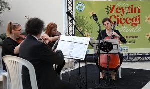 Tirilye’de zeytinin çiçeği açtı, festival sokakları sardı
